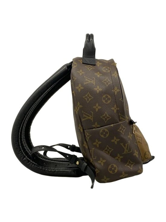Louis Vuitton Backpack Monogram Reverse Palm Spring PM main image 14